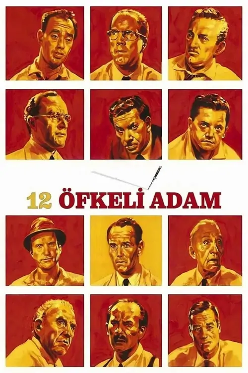 12 Öfkeli Adam